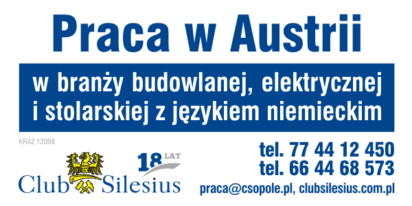 Cieśla Szalunkowy- Praca Dla Brygady, Austriackie Warunki