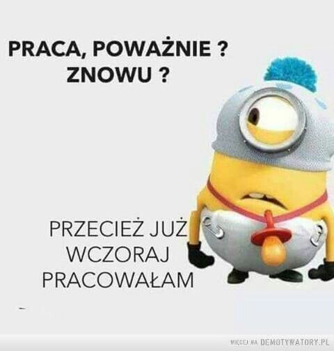 Praca Na Produkcji Mięsa -extra Bonus 100 € - Den Bosch