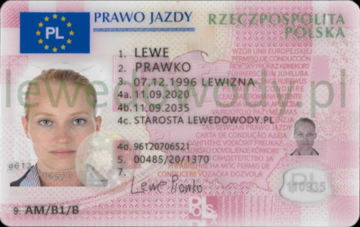 Dokumenty Kolekcjonerskie Dowód Osobisty Prawo Jazdy - Lewedowody.pl 2